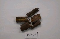 藏品(鹿掌骨)的圖片